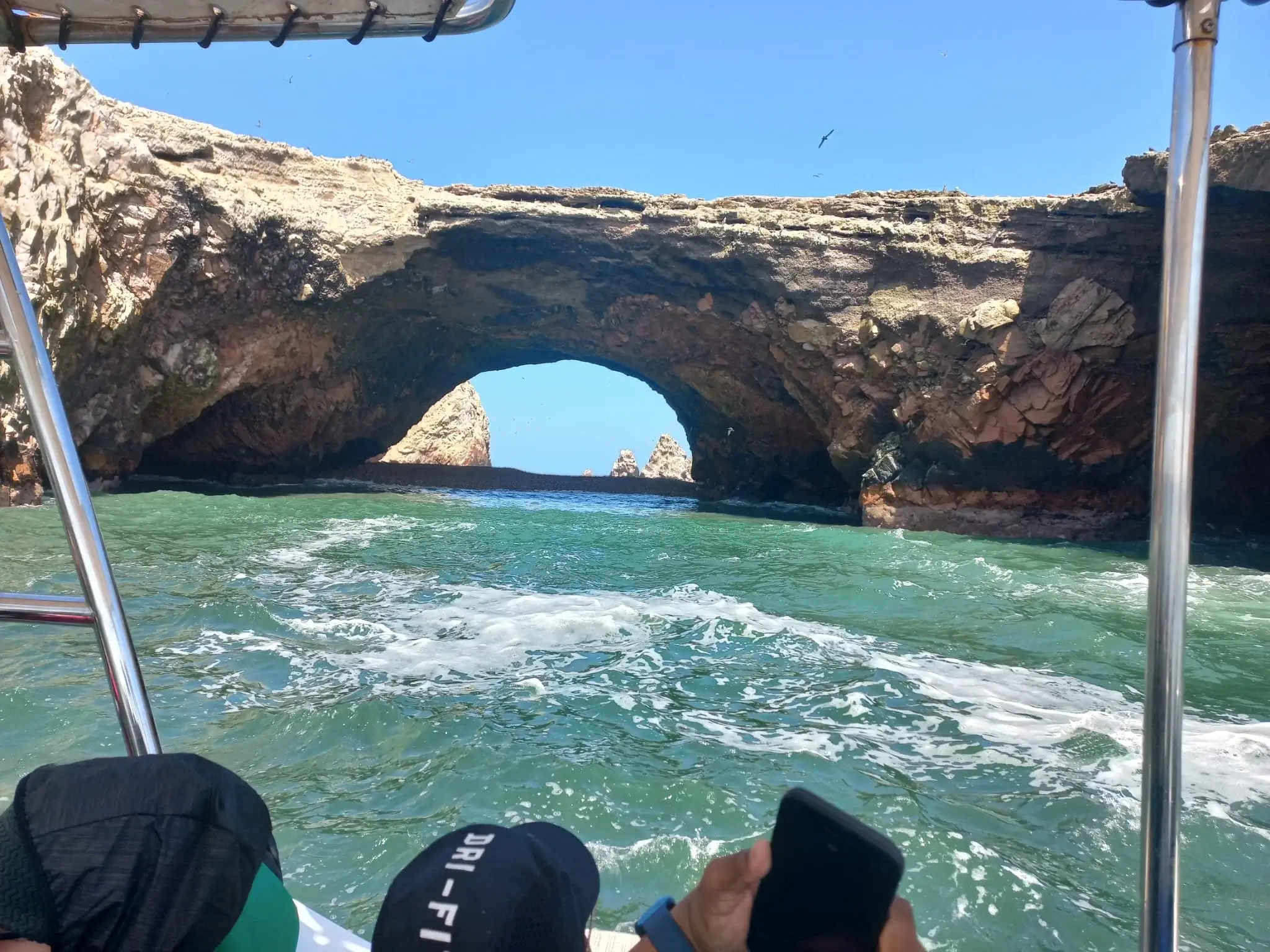 Ballestas Islands wildlife