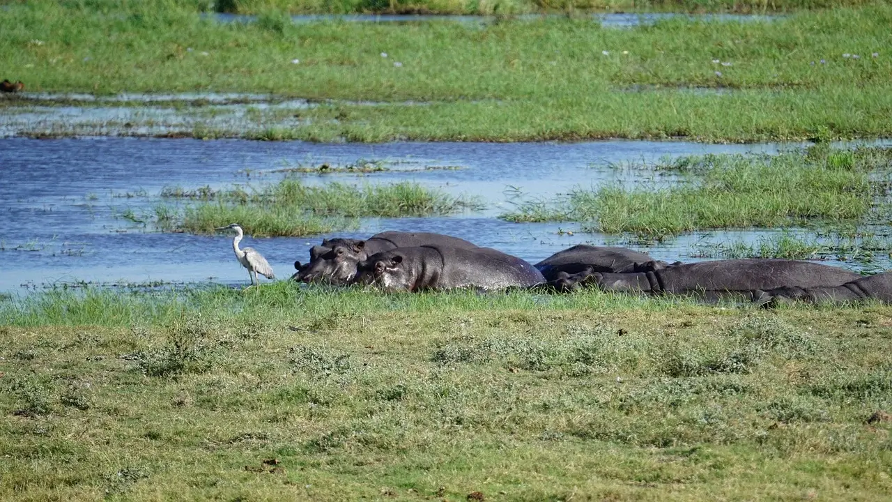 Botswana