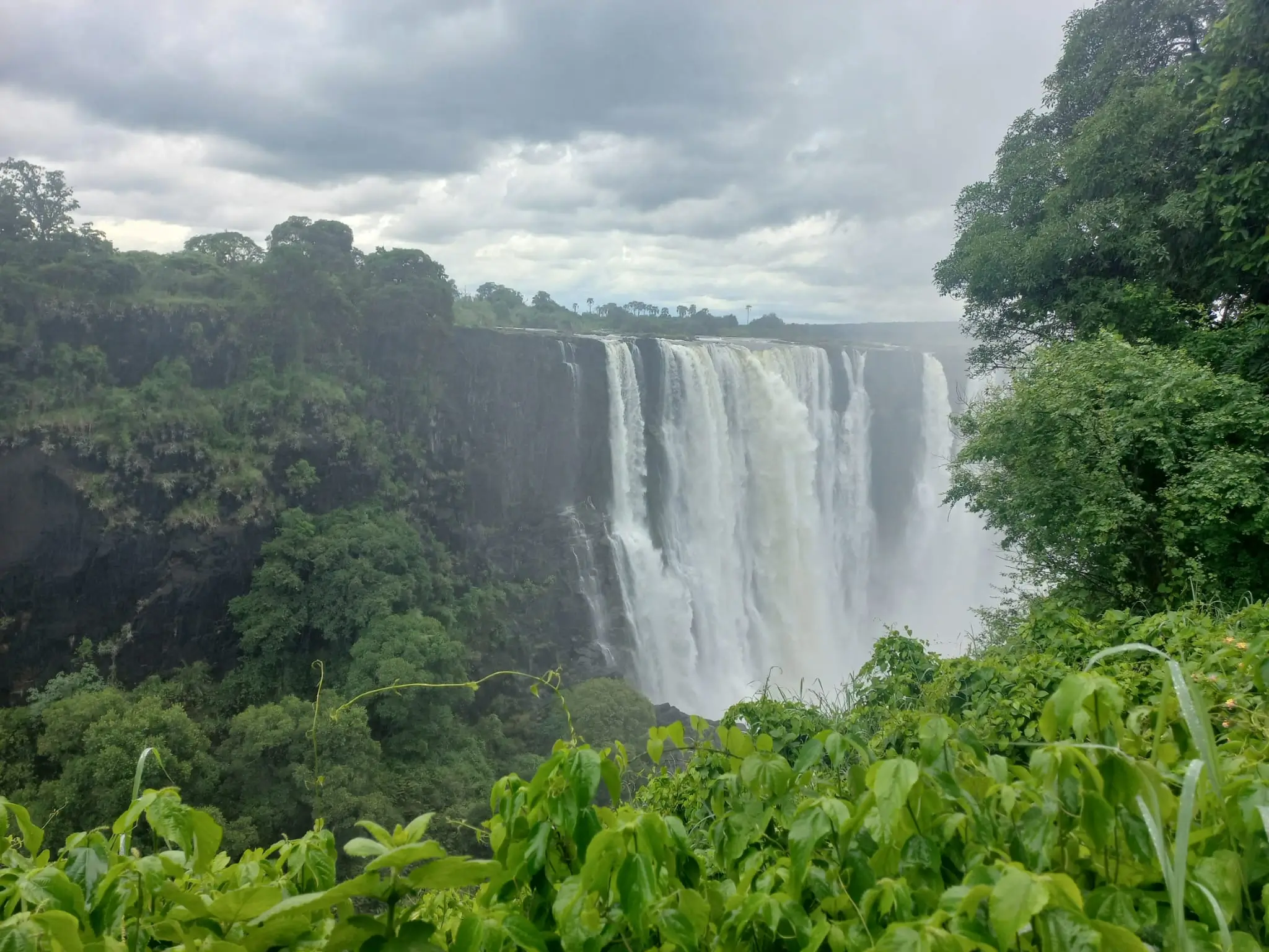 Zimbabwe